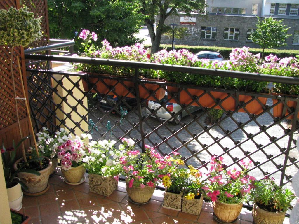 Patio Mare Amber Lejlighed Sopot Eksteriør billede